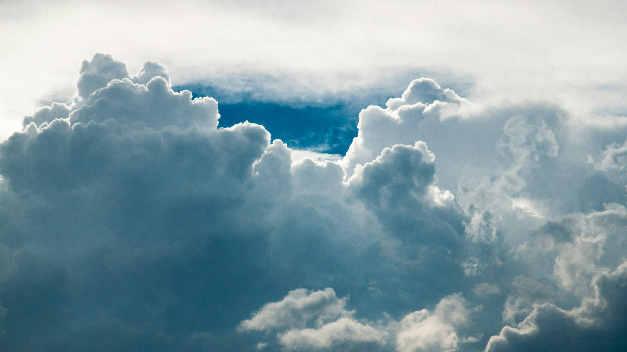 Neu: Luftqualitätsdaten für dein Mantrailing-Training