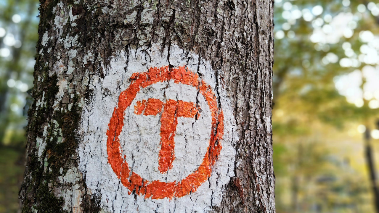 Neues Marker-Feature: Mehr Orientierung, mehr Kontext